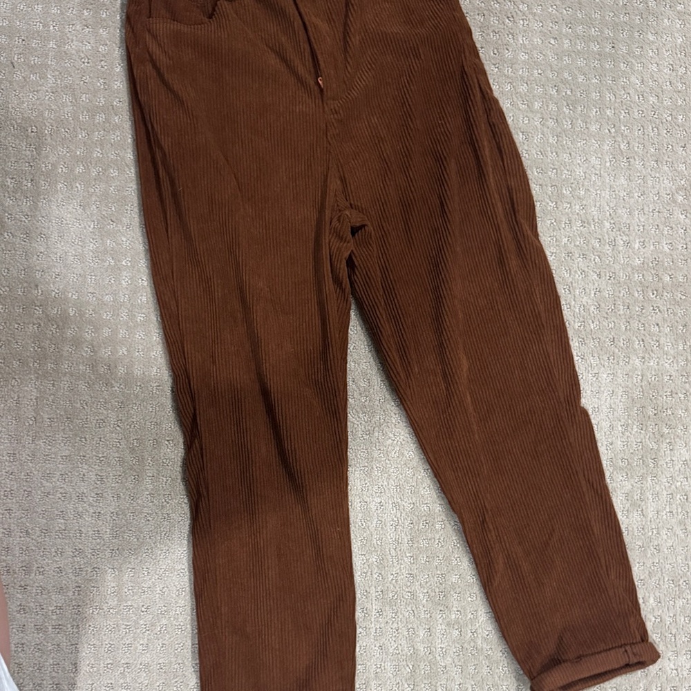 SHEIN Men's Rich Brown Corduroy Trousers